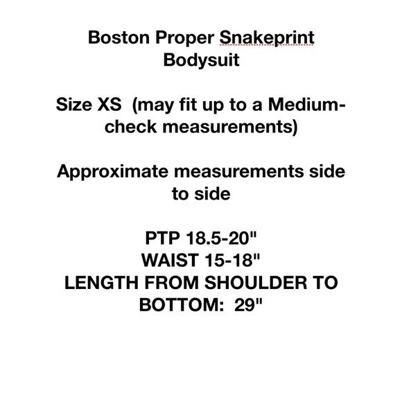 Boston Proper Snakeskin Print Bodysuit Oversized XS - Picture 11 of 16